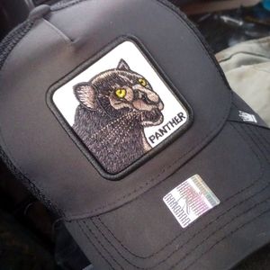 Panther hat 🔥